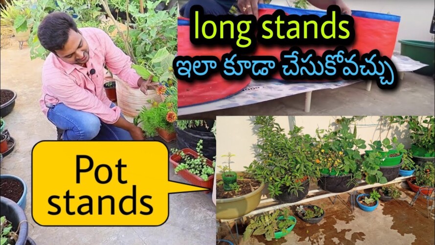నేను వాడుతున్న రకరకాల స్టాండ్స్ | pot stands for plants #stands #ironStands #gardening
