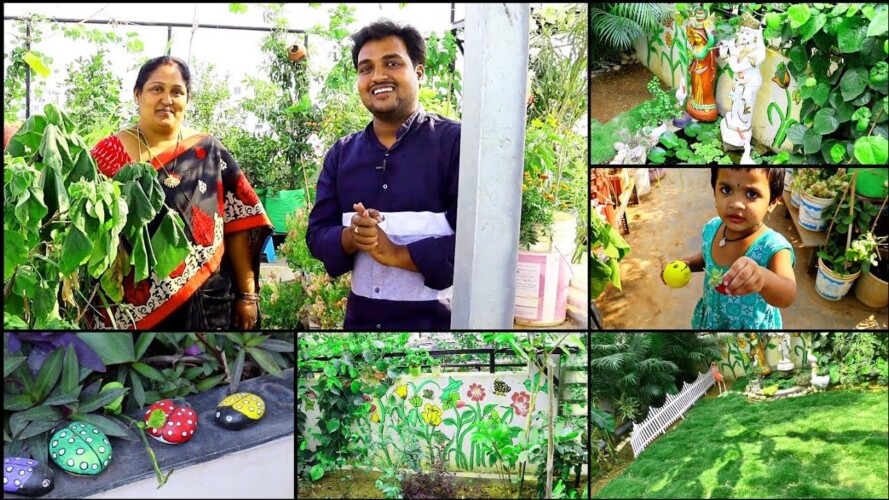 మాధవి మోహన్ గారి పెరటి తోట Madhavi mohan's garden #gardening