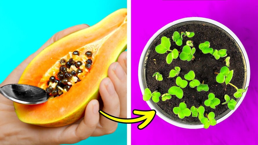 HOW TO GROW PLANTS || Useful Gardening Tricks You'll Be Grateful For