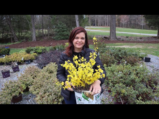 First Spring Nursery Tour // Gardening with Creekside