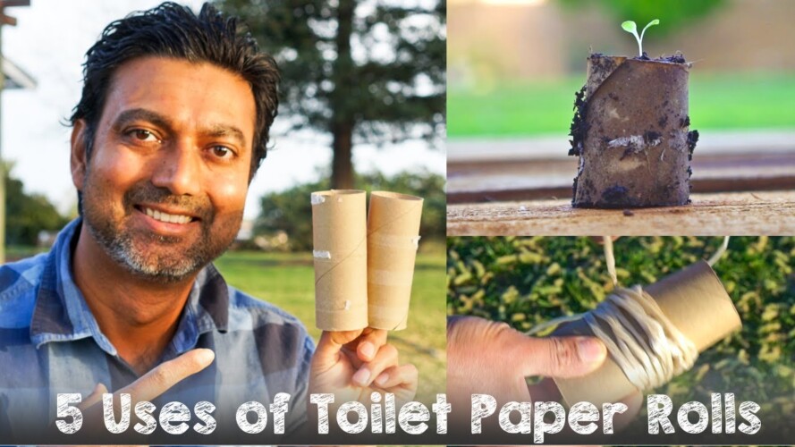 NEVER Throw Away Toilet Paper Rolls | 5 Uses in Gardening