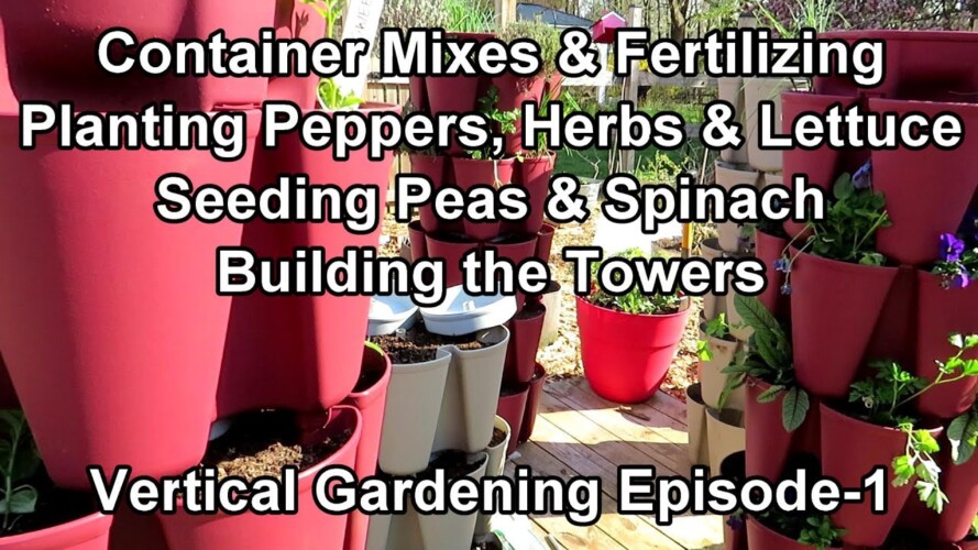 Vertical Gardening: The Key to Success, Setting Up the Towers, Planting Peppers, Herbs, Seeds & More