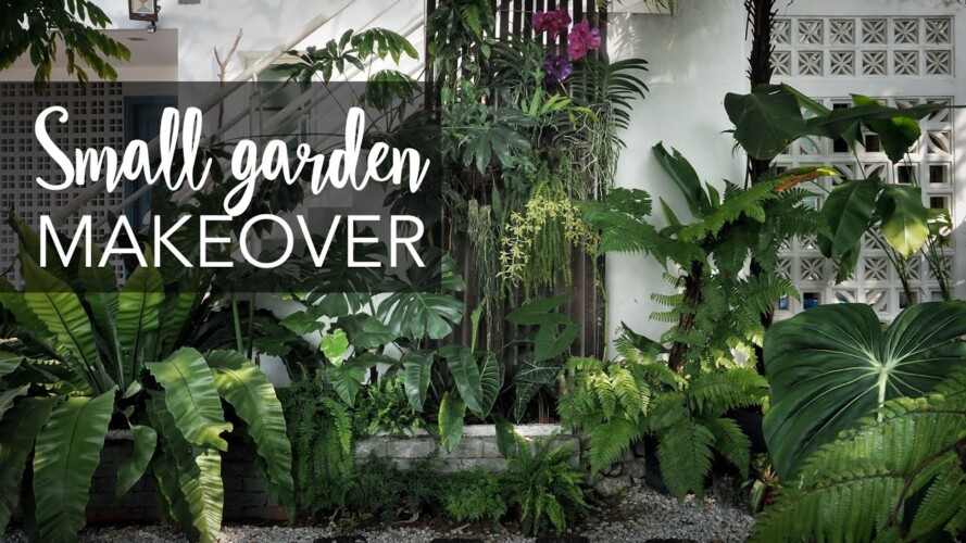 Small tropical garden (20sqft) makeover with 10 Pro Gardening Tips