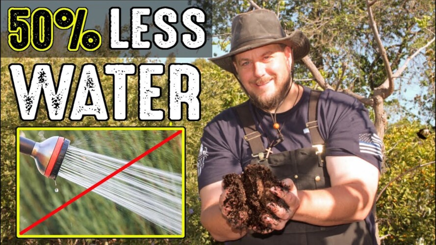 This AMAZING Gardening HACK Can Help You Reduce WATERING The Garden By 50%!!!
