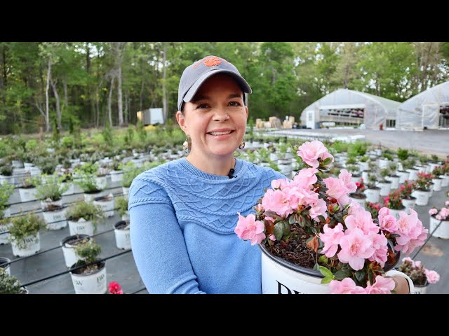Spring Nursery Tour of the Production Greenhouses | Gardening with Creekside