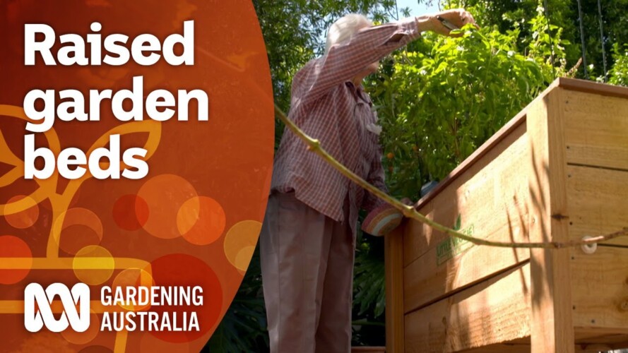 Raised garden bed options | Gardening 101 | Gardening Australia