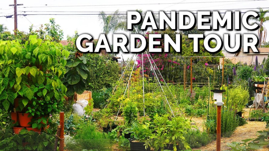 He Built This Garden from SCRATCH in a Year for ~$1000 🤯 | Touring My Assistant's Garden