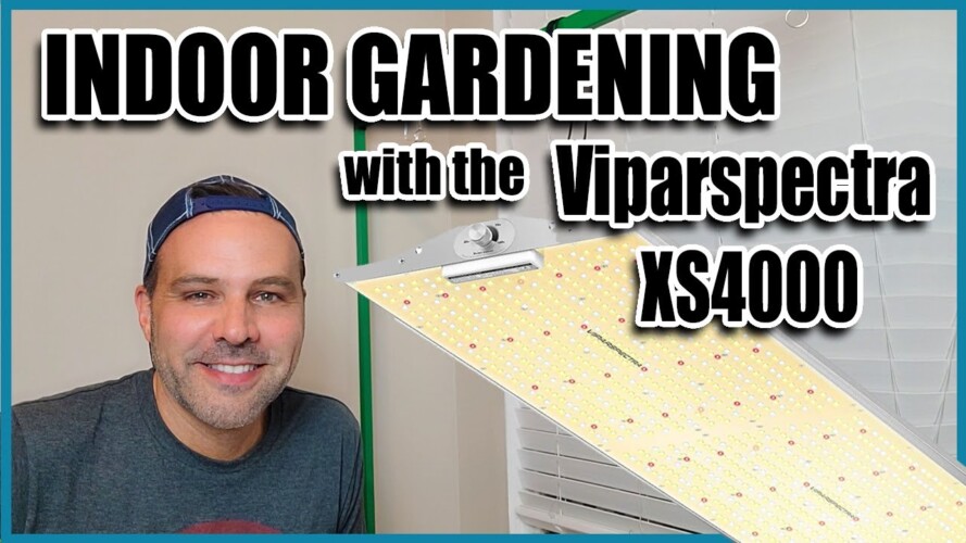 Indoor Gardening with a Viparspectra XS4000 - Episode 1