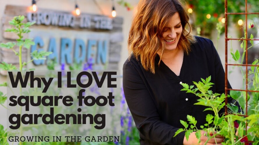 Why I LOVE square foot gardening