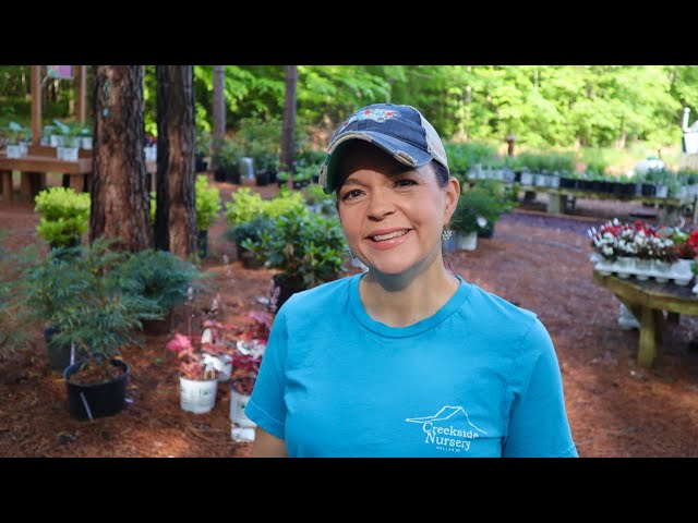 Mother's Day Nursery Tour | Gardening with Creekside