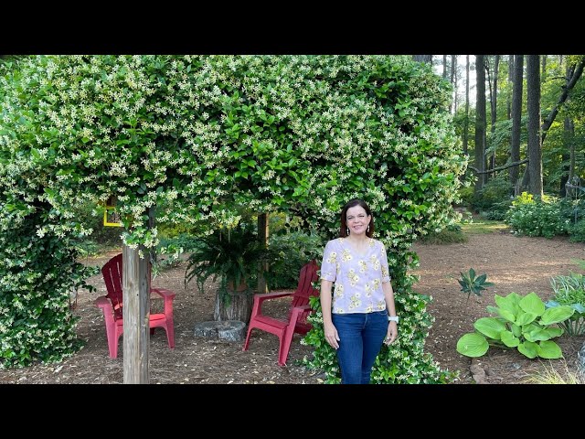 Mimi's Late Spring Garden Tour | Gardening with Creekside