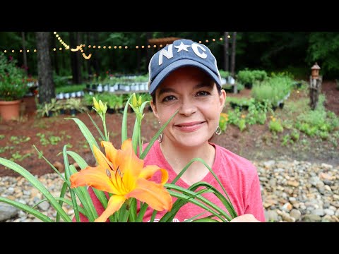 Fantastic Flowering Perennials | Gardening with Creekside