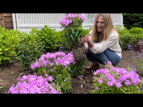 How to Plant Perennials! | Gardening Tips for Beginners