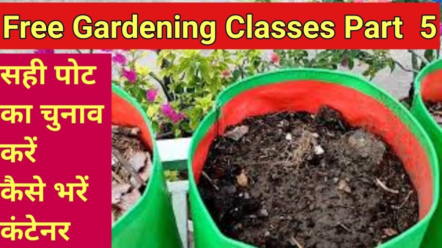 free gardening classes part 5 Choose right size of container , How we fill container in right way