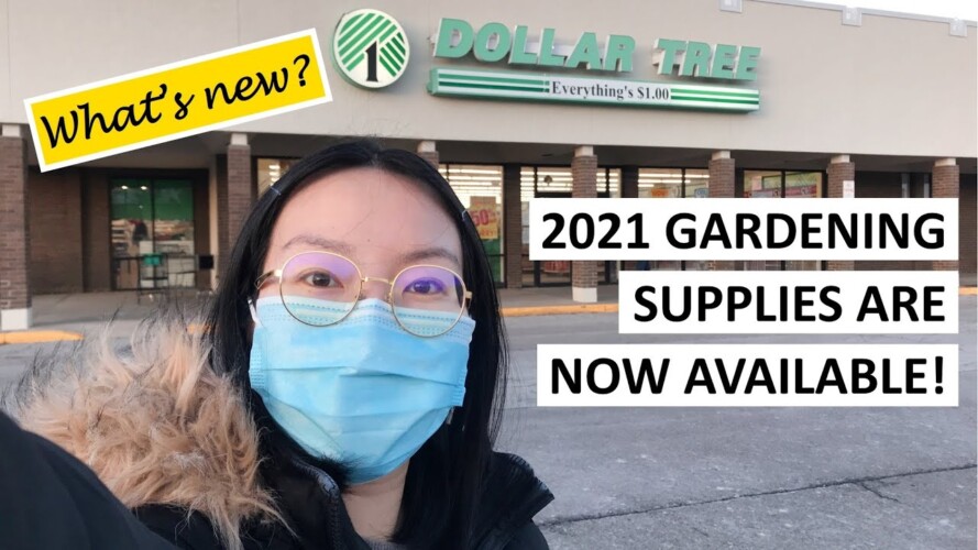 Dollar Tree: 2021 Gardening Supplies Are Now Available in Store!
