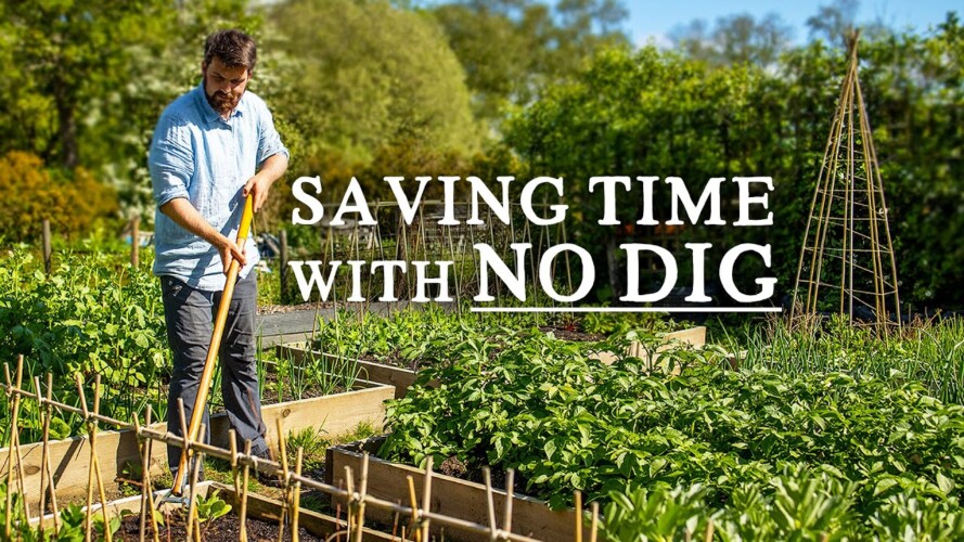 How No Dig Gardening Reduces Weeds