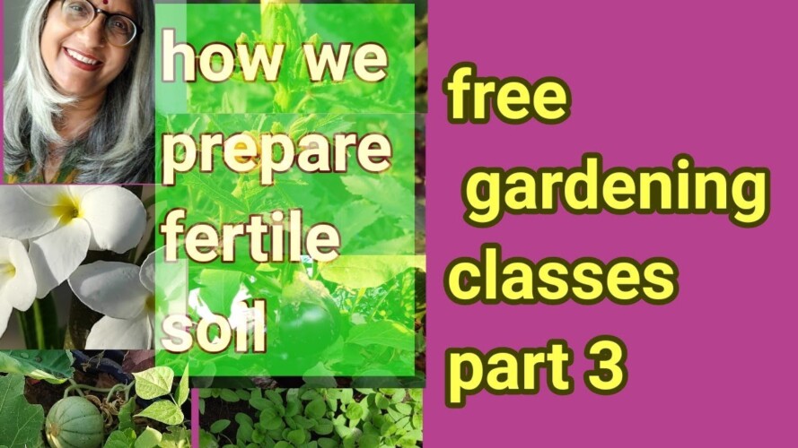 How To Start Gardening । How To Prepare Soil  l Free Terrace Gardening Classes part 3
