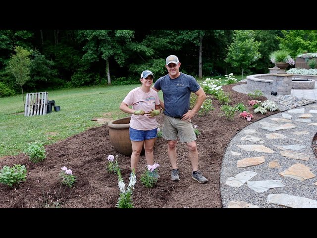 Fixing the Irrigation & Trialing 'Little Lime Punch' | Gardening with Creekside