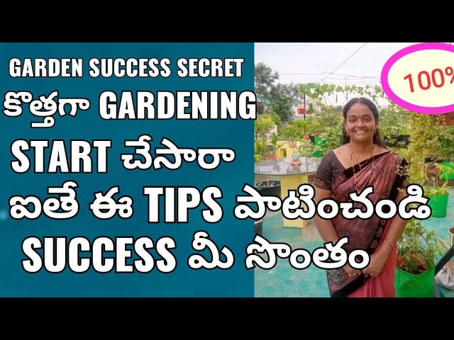 Okra Harvest # Tips for new garders to reach successful gardening# 10 మొక్కలతో మొదలయింది మన garden 🌱