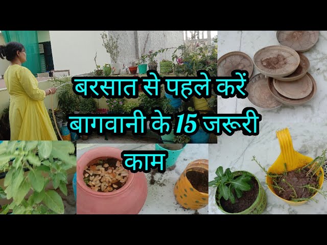 बरसात से पहले बागवानी के 15 जरूरी काम,15 Important Gardening Tips for Plants During Monsoon