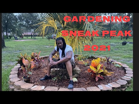 Gardening sneak peek 2021