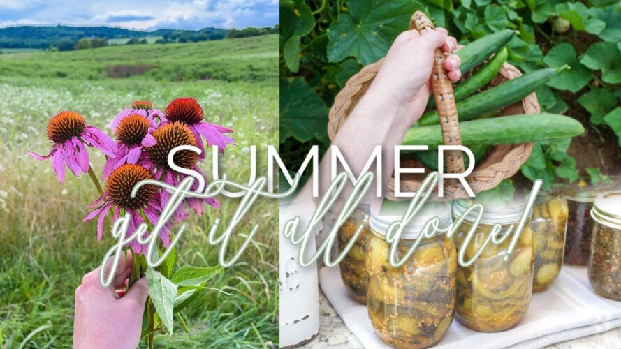 SUMMER GET IT ALL DONE! | COOKING, CANNING, GARDENING!