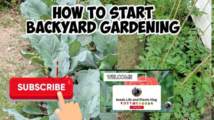 How to Start backyard Gardening