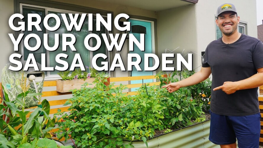 How to Grow Your Own Salsa 🌶️ | Raised Bed Planting Ideas