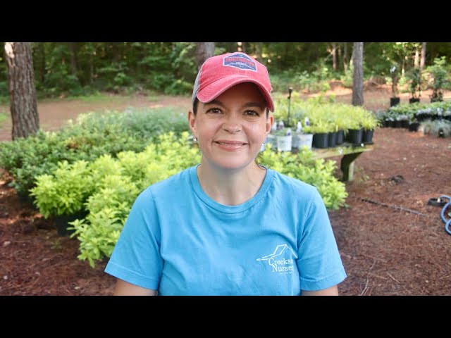 July Nursery Garden Tour | Gardening with Creekside