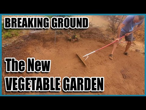 Creating the Homestead Vegetable Garden From Scratch // Gardening on a Slope With a Terraced Garden