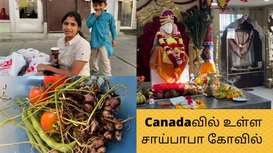 Canadaவில் உள்ள சாய்பாபா கோவில் | My Balcony Gardening Harvest | தமிழ் கடை Shopping