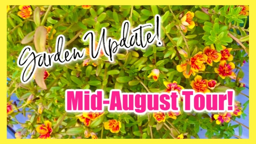 GARDEN TOUR ** Mid-August Garden SUCCESSES & FAILURES! Container Gardening & Garden Beds