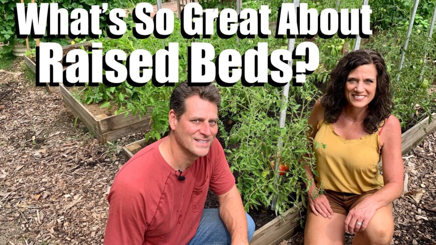 What’s So Great About Growing a Vegetable Garden in Raised Beds? / Gardening Coast2Coast