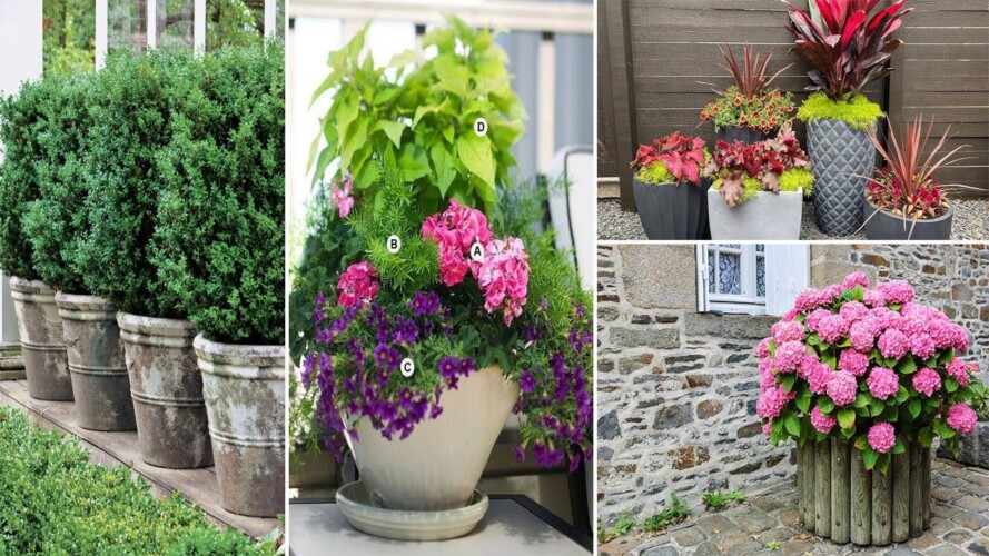 180 Container Gardening Ideas and Inspiration - Easy Balcony Gardening | garden ideas