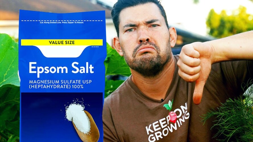 STOP Using Epsom Salt in Your Garden 🚫