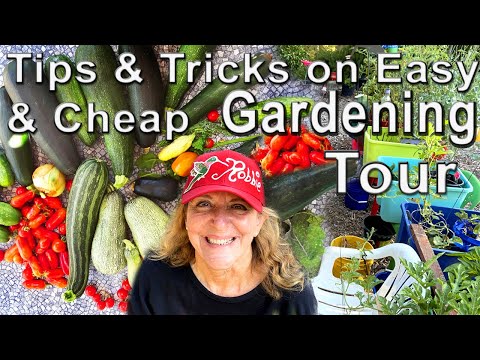 Vegetable Garden Tour 🍅 EASY Container Garden & Vertical Gardening Tomatoes Watermelon Fall Planting