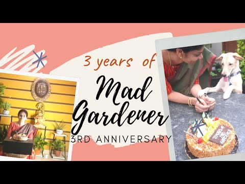 3 year's of Mad Gardener / 3rd Anniversary  #madgardener  #gardening