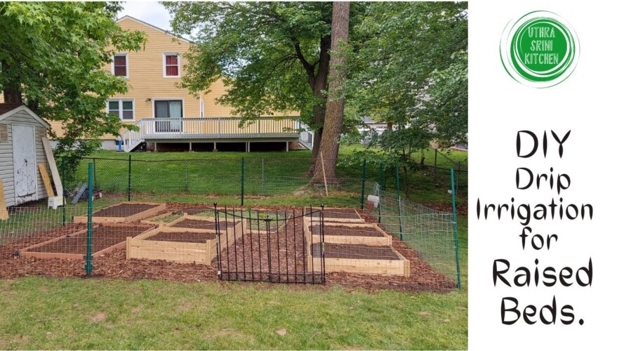 Our Garden 2021 |  Drip irrigation system installation  |  DIY Drip Irrigation  |Backyard Gardening