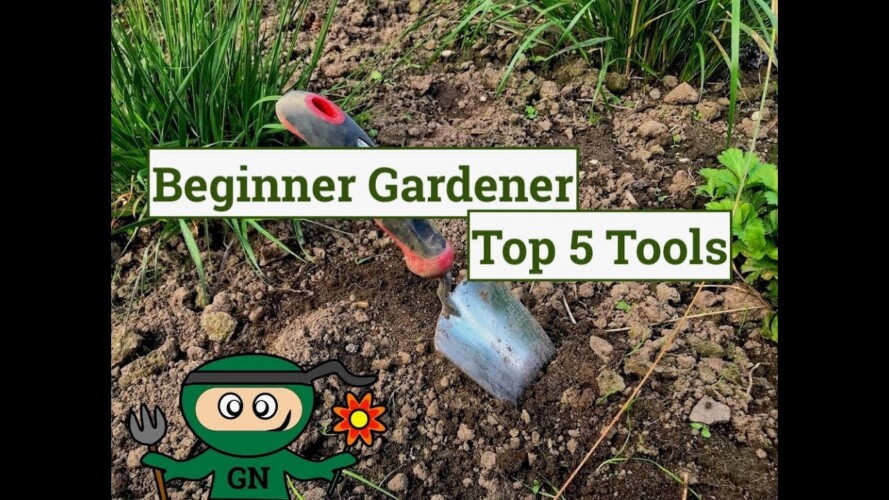 Beginner Gardening Tools to Start Gardening