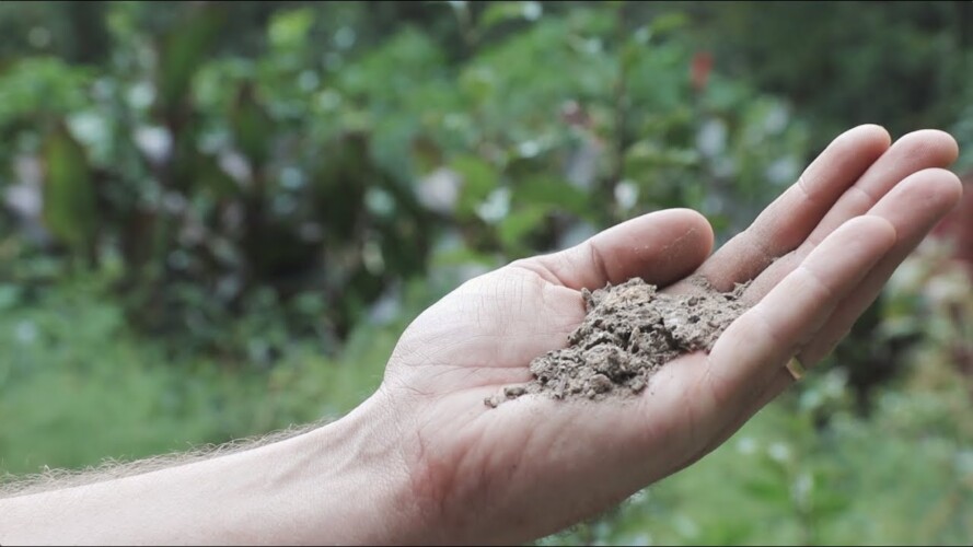 Survival Gardening Secrets (That Even Work in Lousy Dirt) - Complete Presentation