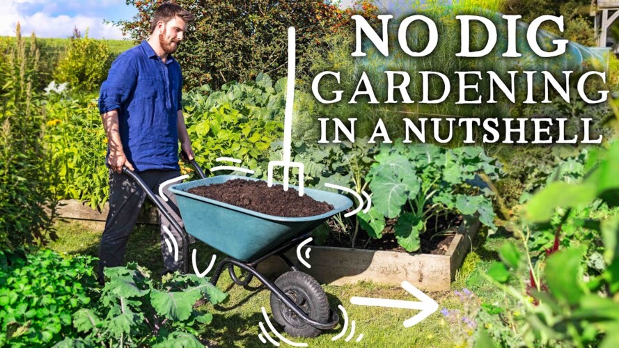 NO DIG Gardening Explained in 6 Minutes
