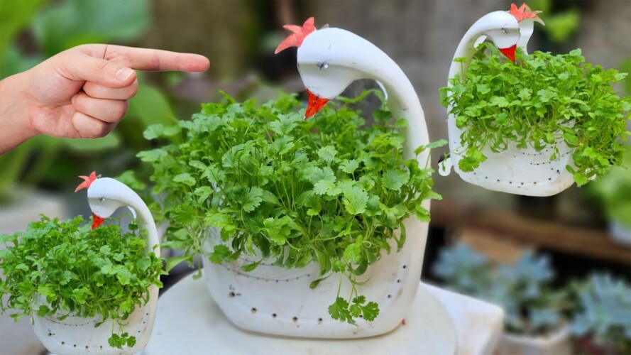 You will not be sad when gardening this way