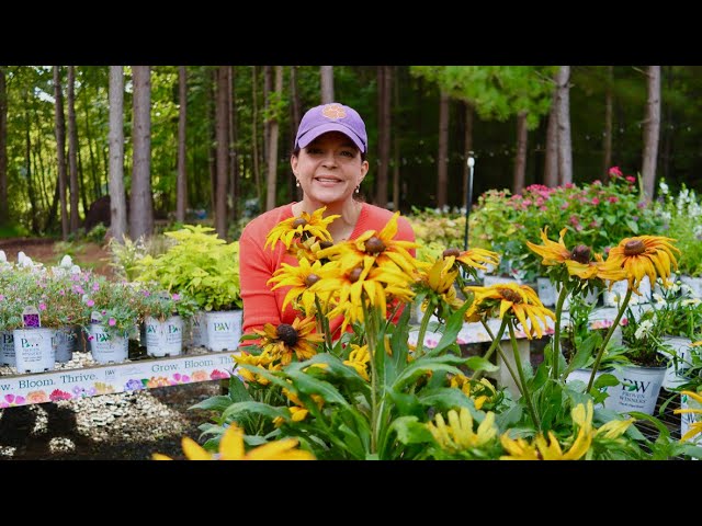 Nursery Tour - New Trees & Perennials Are Here | Gardening with Creekside