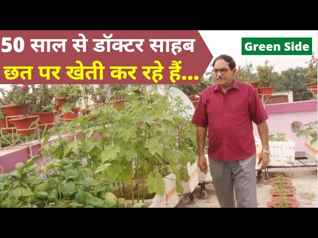 Dr S S Eqbal Hussain कर रहे 50 साल से Kitchen Gardening, तजुर्बे का फायदा आपको भी मिलेगा ।Green Side