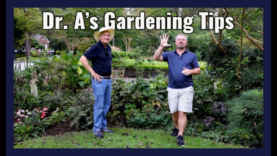 Top 5 Gardening Tips with Dr. Armitage
