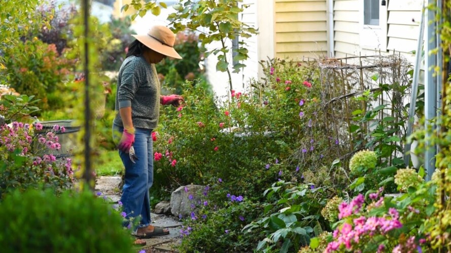 Weeding Stepping Stone Garden Pathway // Japanese Anemones Blooming // Fall Gardening DIY
