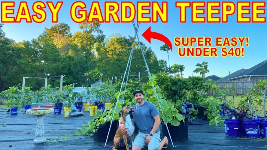 Build A GARDEN TEEPEE TRELLIS For Vertical Gardening For Under $40