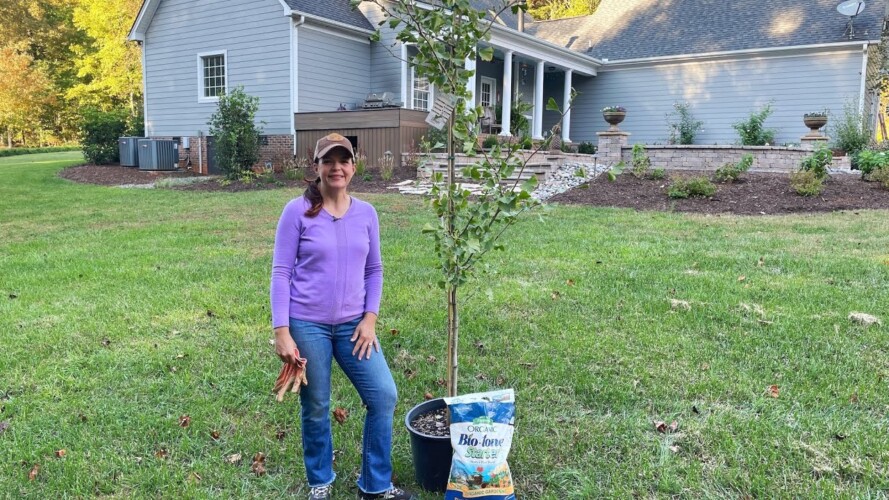 Planting a Gingko & Beginning Fall Tasks | Gardening with Creekside