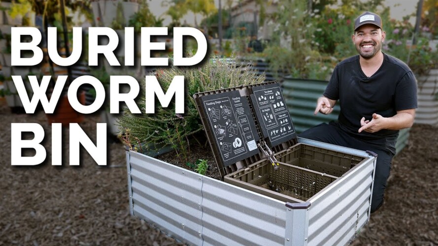 Worm Composting...Underground?! Subpod Review