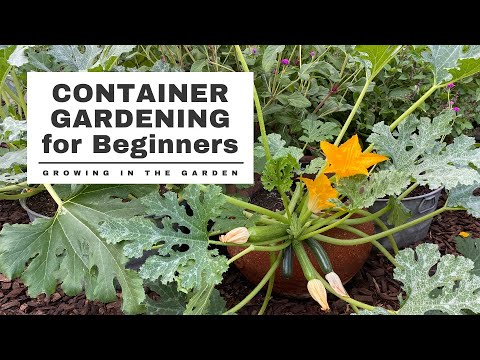 CONTAINER GARDENING for BEGINNERS: 10 Simple Steps